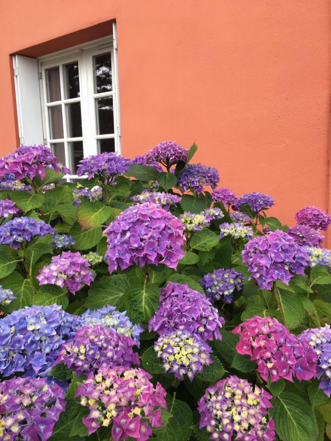 Hotel La Belle Etoile Thouaré-sur-Loire Kültér fotó